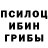 Псилоцибиновые грибы MAGIC MUSHROOMS Garrett Sims