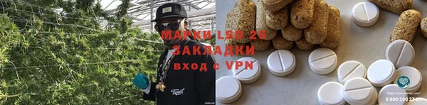 прущие грибы Алексин