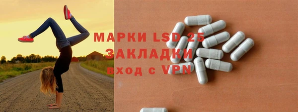 винт Алзамай
