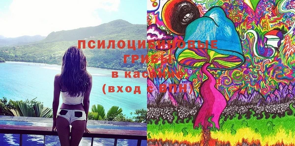 винт Алзамай