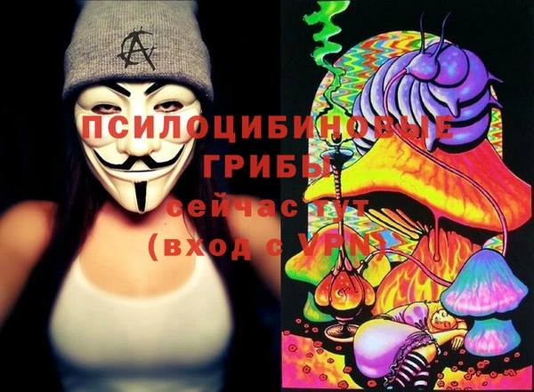 прущий лед Аркадак